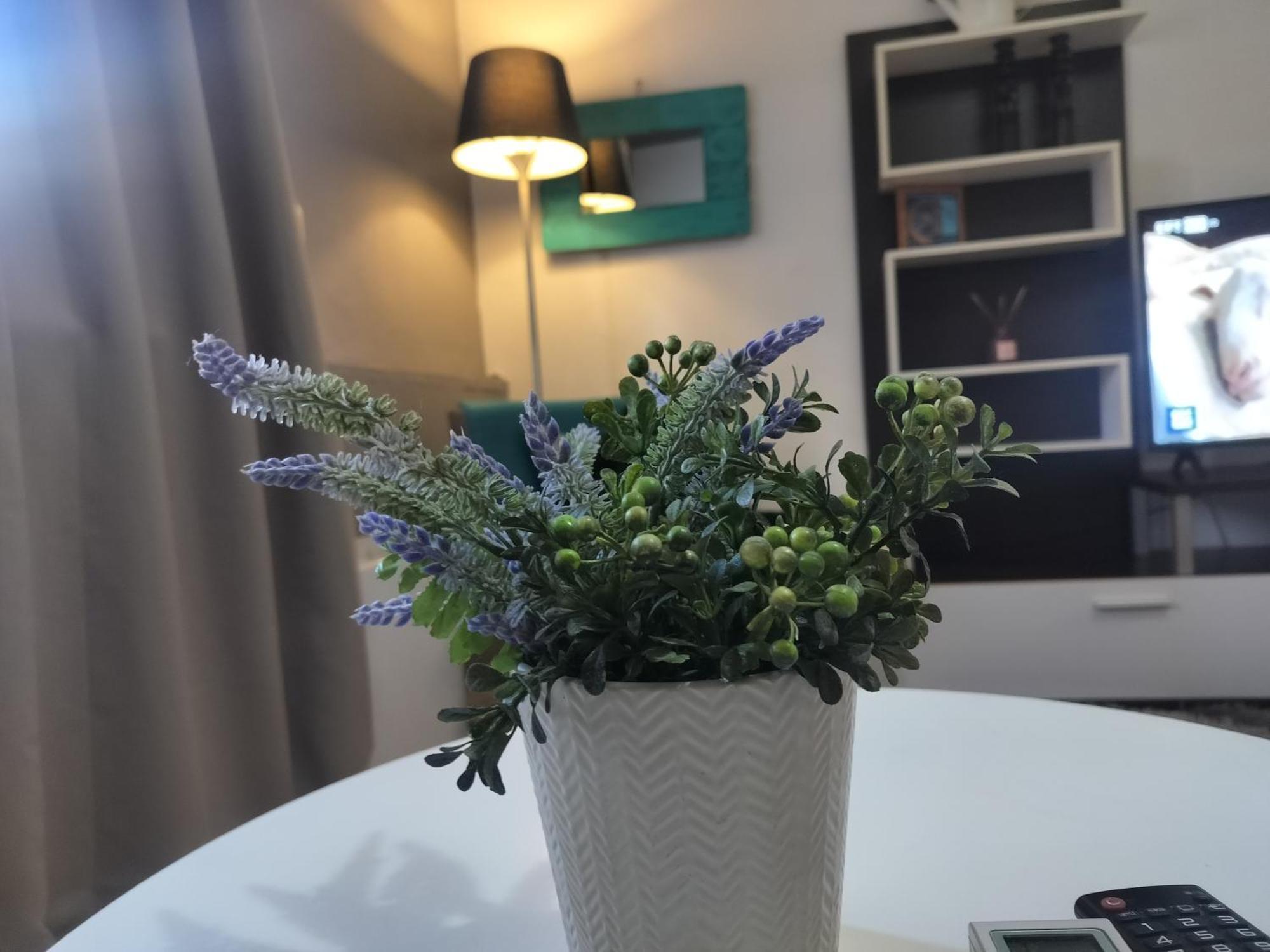 Trykonos Garden - Explore Center By Foot - Easy Free Parking - Close To Helexpo *